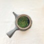 Japońska zielona herbata sencha